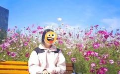 樱桃视频app下载地址